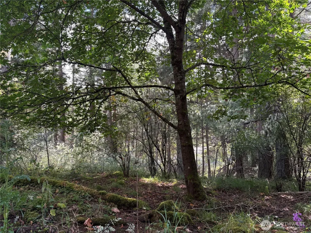 0 Lot 14 Rosario Road Orcas Island, WA 98245
