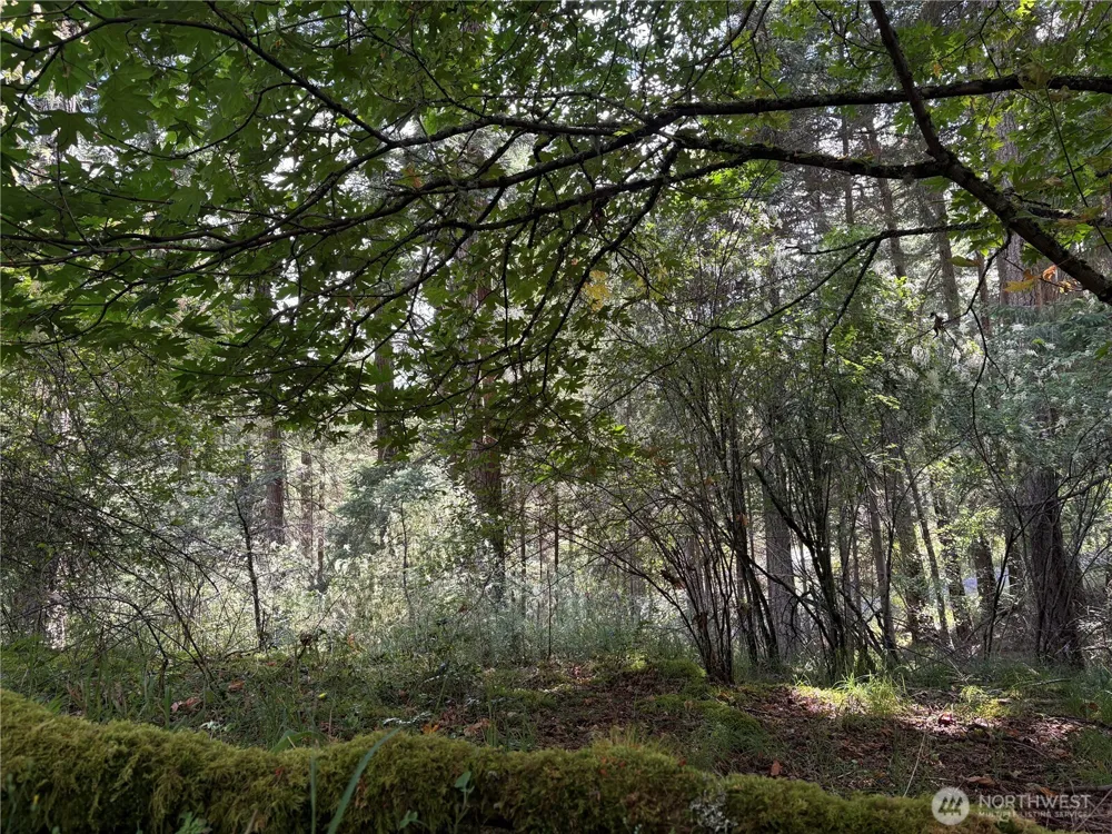 0 Lot 14 Rosario Road Orcas Island, WA 98245