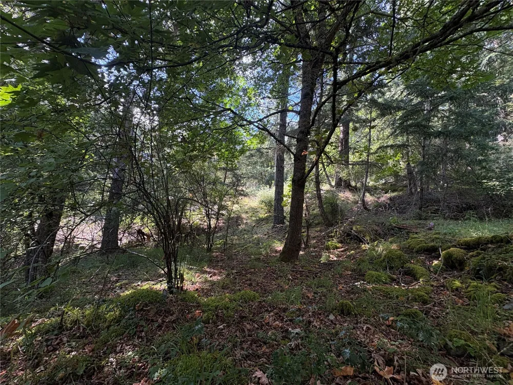 0 Lot 14 Rosario Road Orcas Island, WA 98245