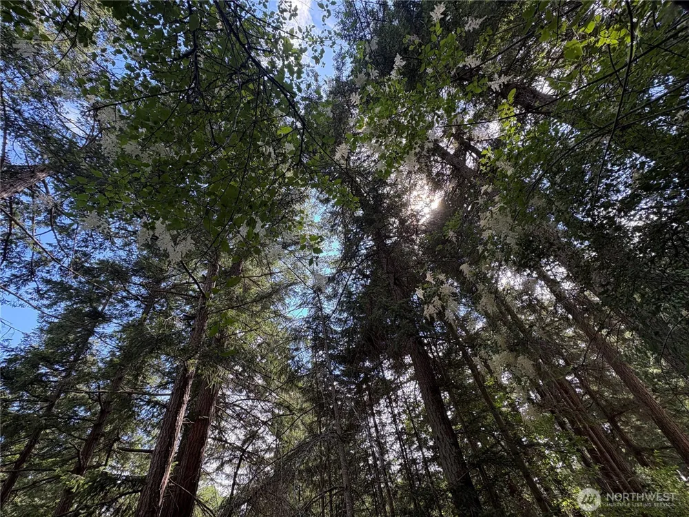 0 Lot 14 Rosario Road Orcas Island, WA 98245