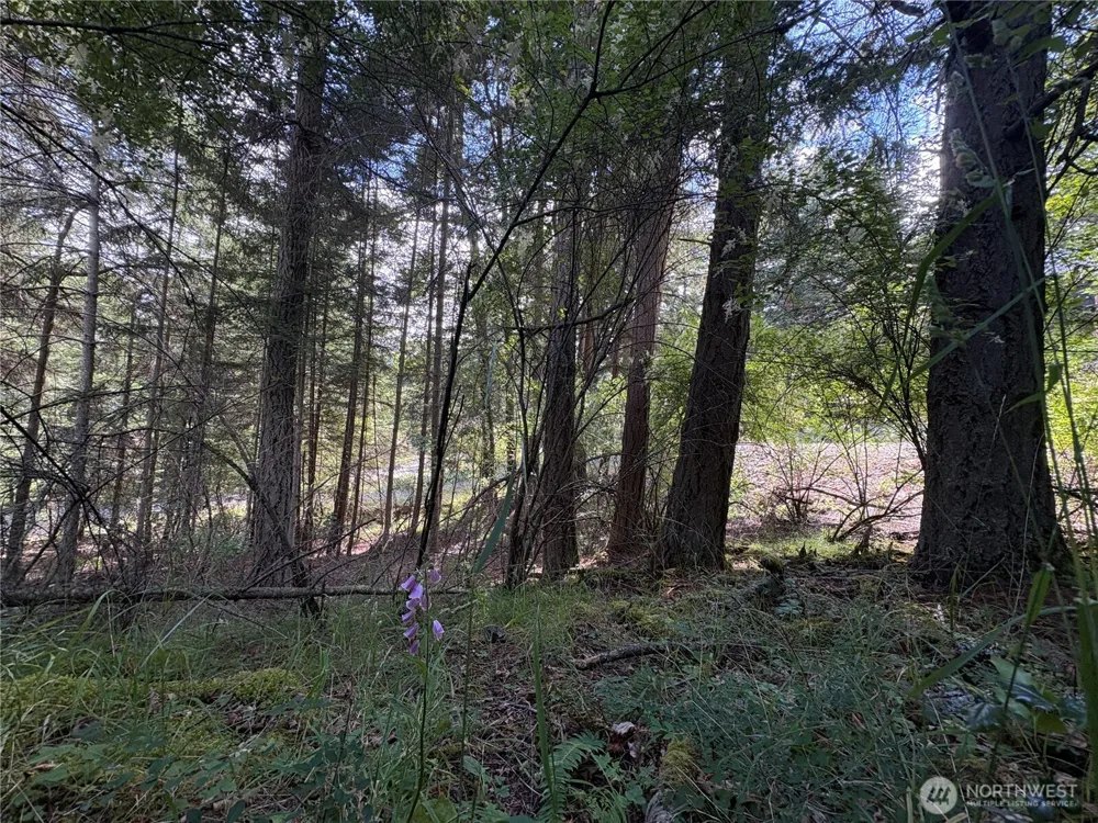0 Lot 14 Rosario Road Orcas Island, WA 98245