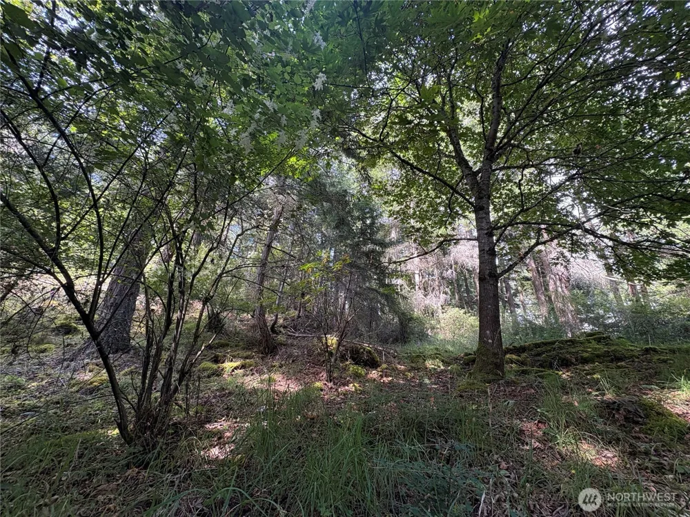 0 Lot 14 Rosario Road Orcas Island, WA 98245