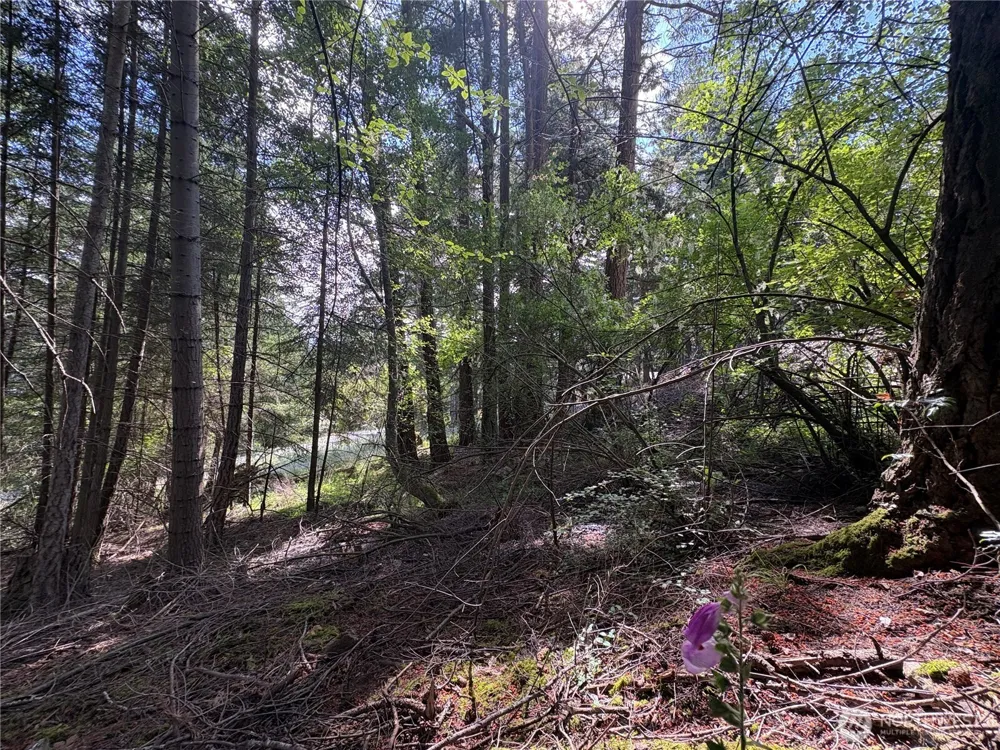 0 Lot 14 Rosario Road Orcas Island, WA 98245