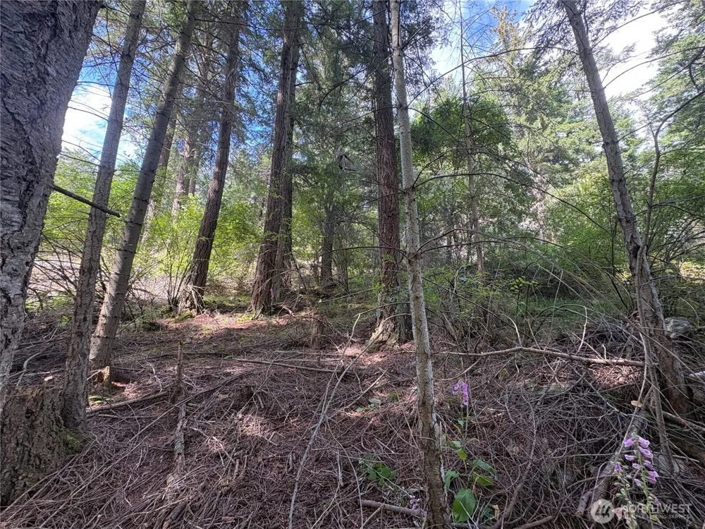 0 Lot 14 Rosario Road Orcas Island, WA 98245