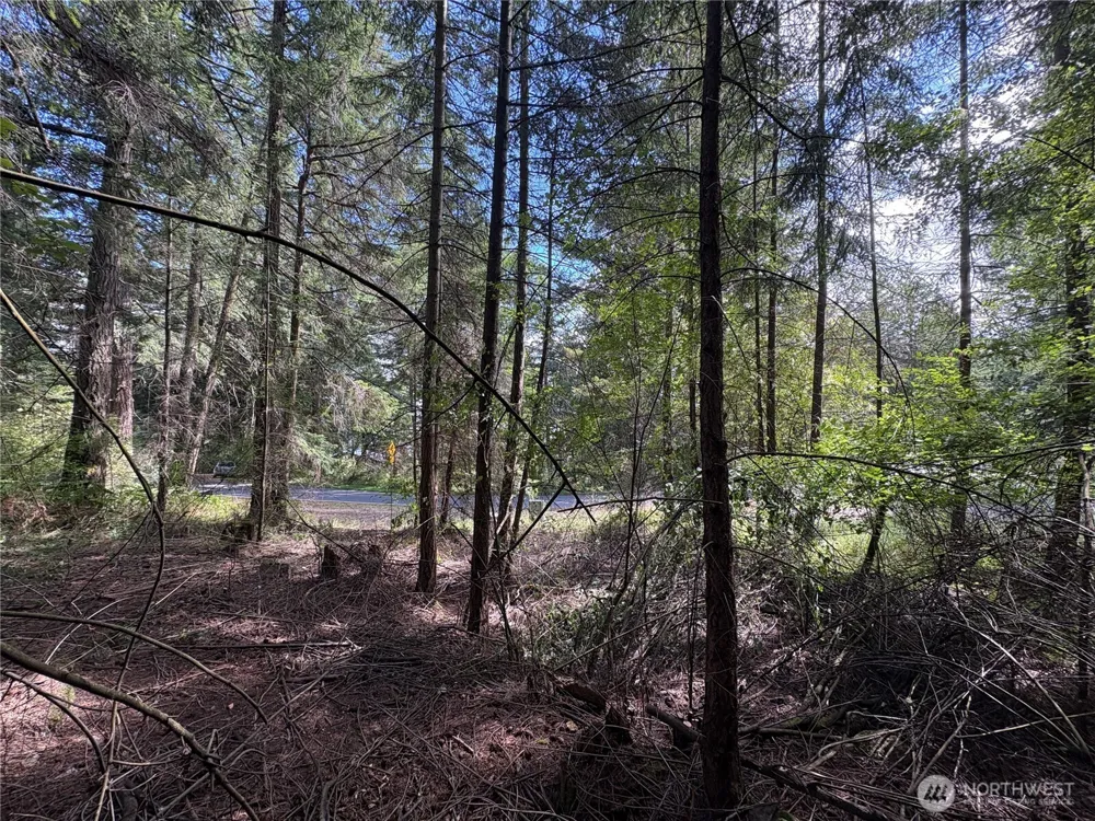 0 Lot 14 Rosario Road Orcas Island, WA 98245