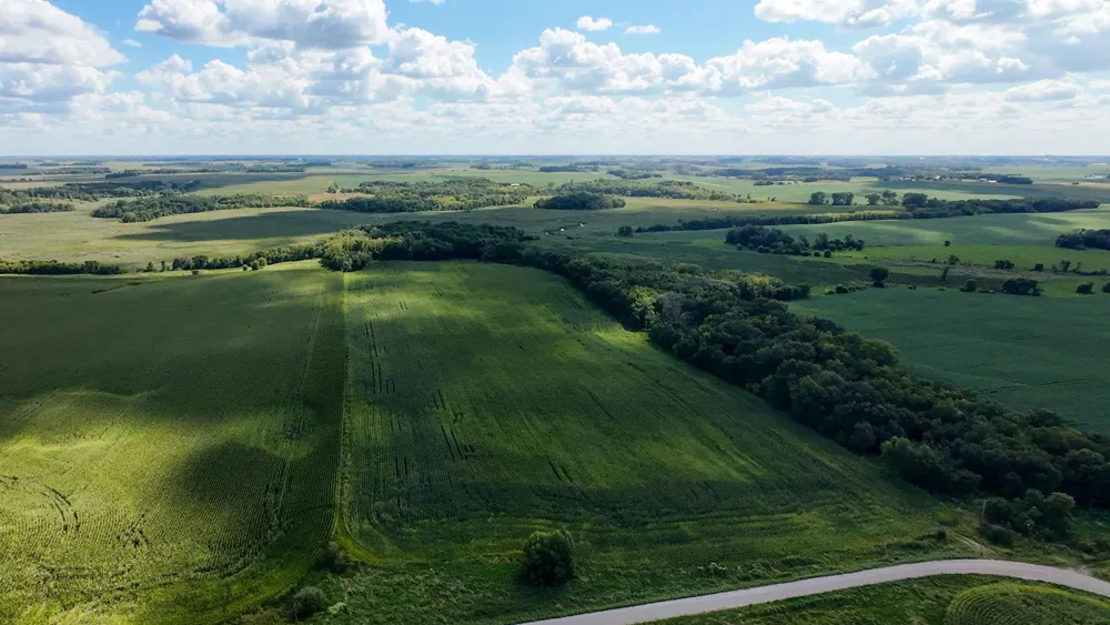 TBD 260th Street W Morristown, MN 55052