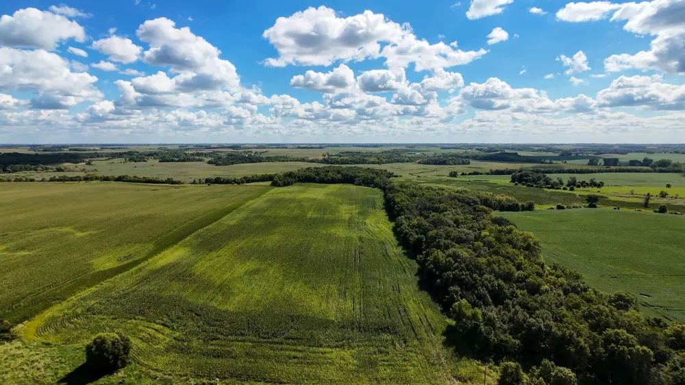TBD 260th Street W Morristown, MN 55052