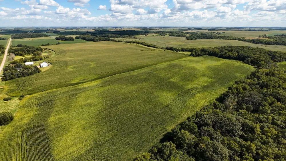 TBD 260th Street W Morristown, MN 55052