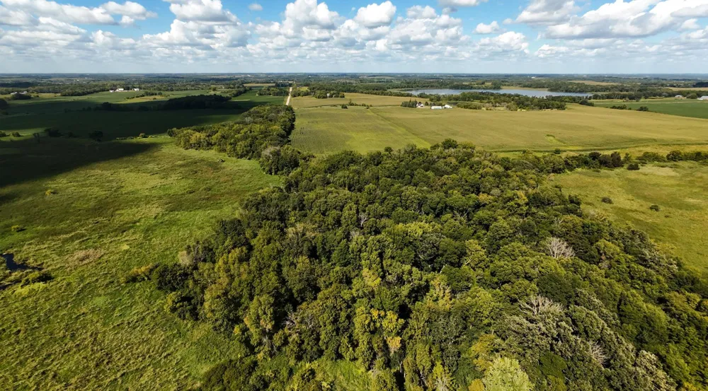 TBD 260th Street W Morristown, MN 55052