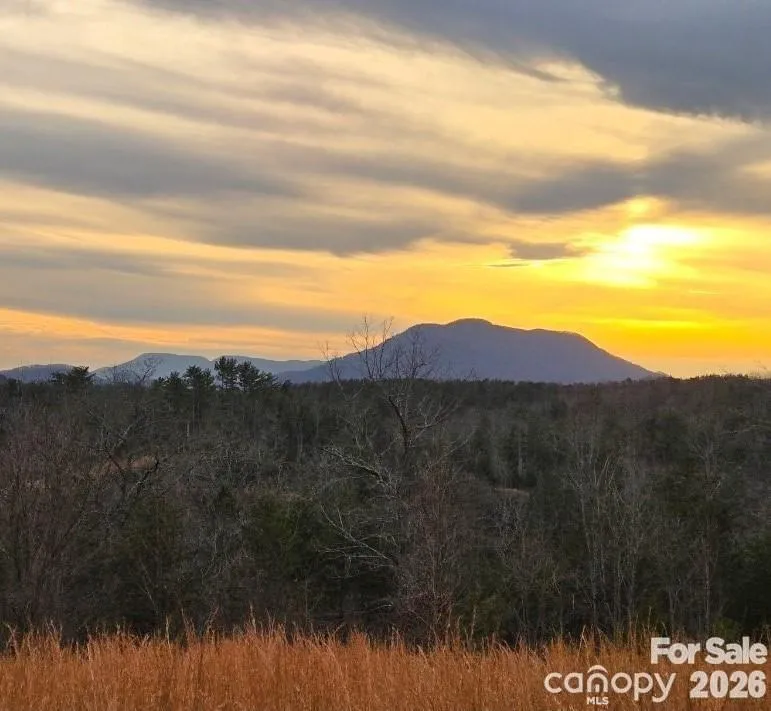 LOT #1 Price Summit Way Mill Spring, NC 28756