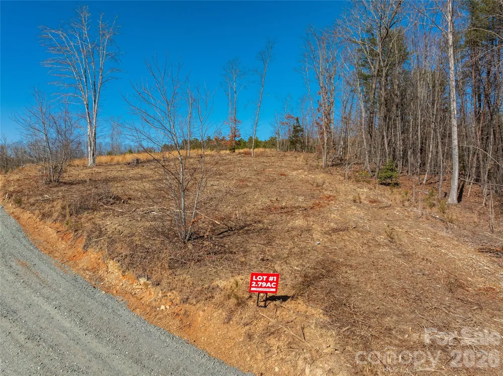 LOT #1 Price Summit Way Mill Spring, NC 28756