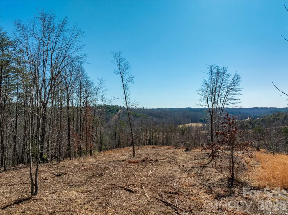 LOT #1 Price Summit Way Mill Spring, NC 28756