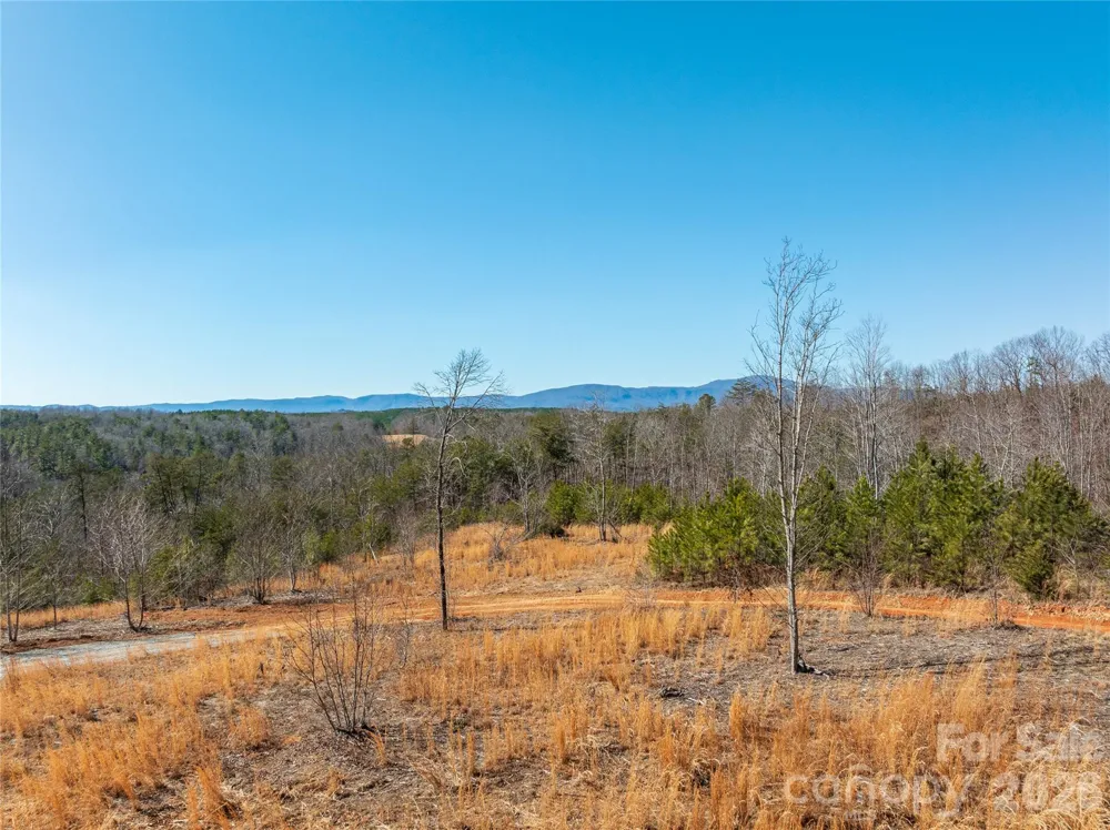 LOT #1 Price Summit Way Mill Spring, NC 28756