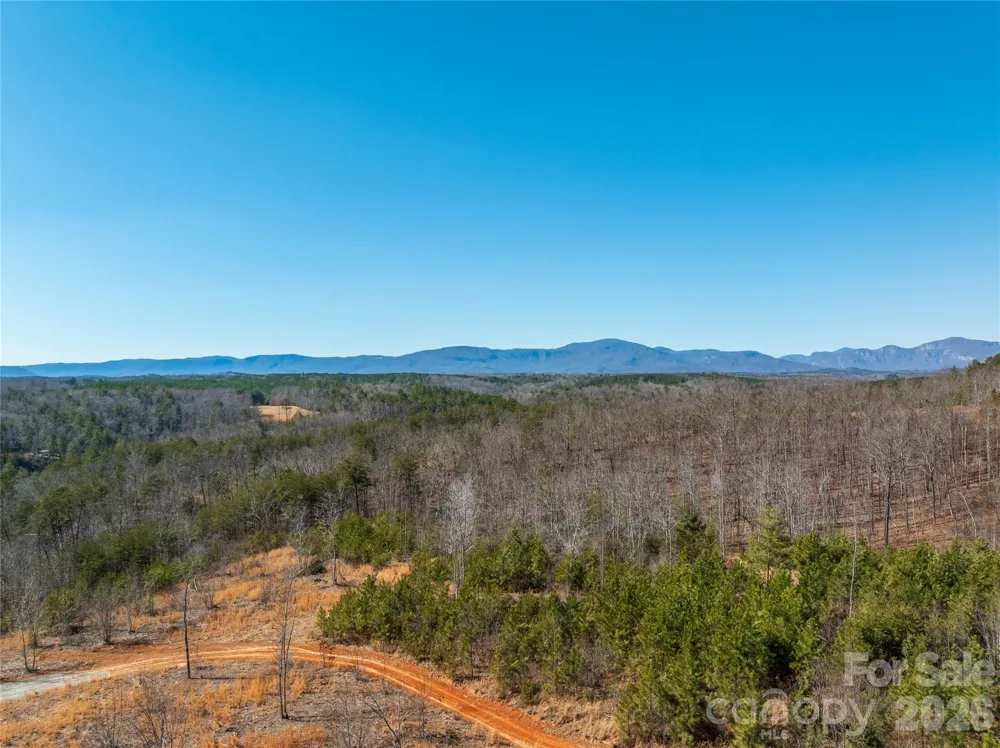 LOT #1 Price Summit Way Mill Spring, NC 28756