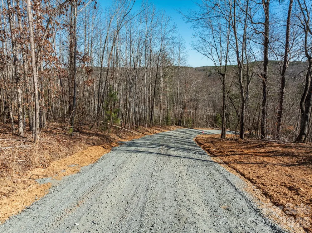 LOT #1 Price Summit Way Mill Spring, NC 28756