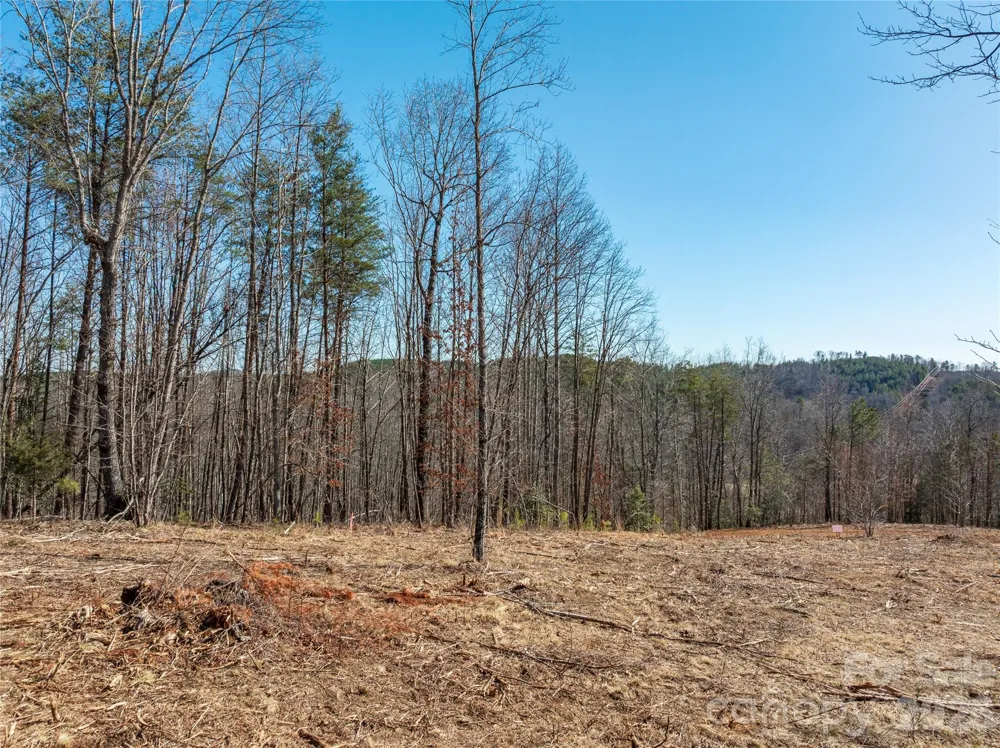 LOT #1 Price Summit Way Mill Spring, NC 28756