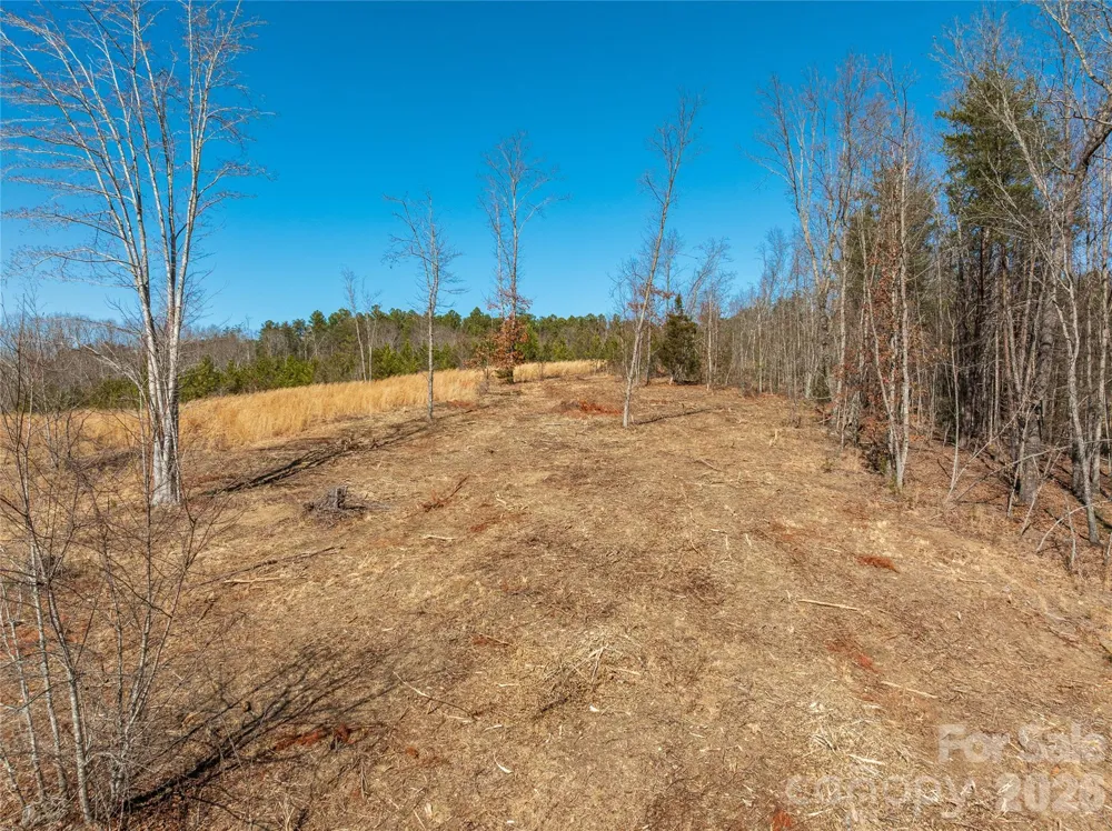 LOT #1 Price Summit Way Mill Spring, NC 28756