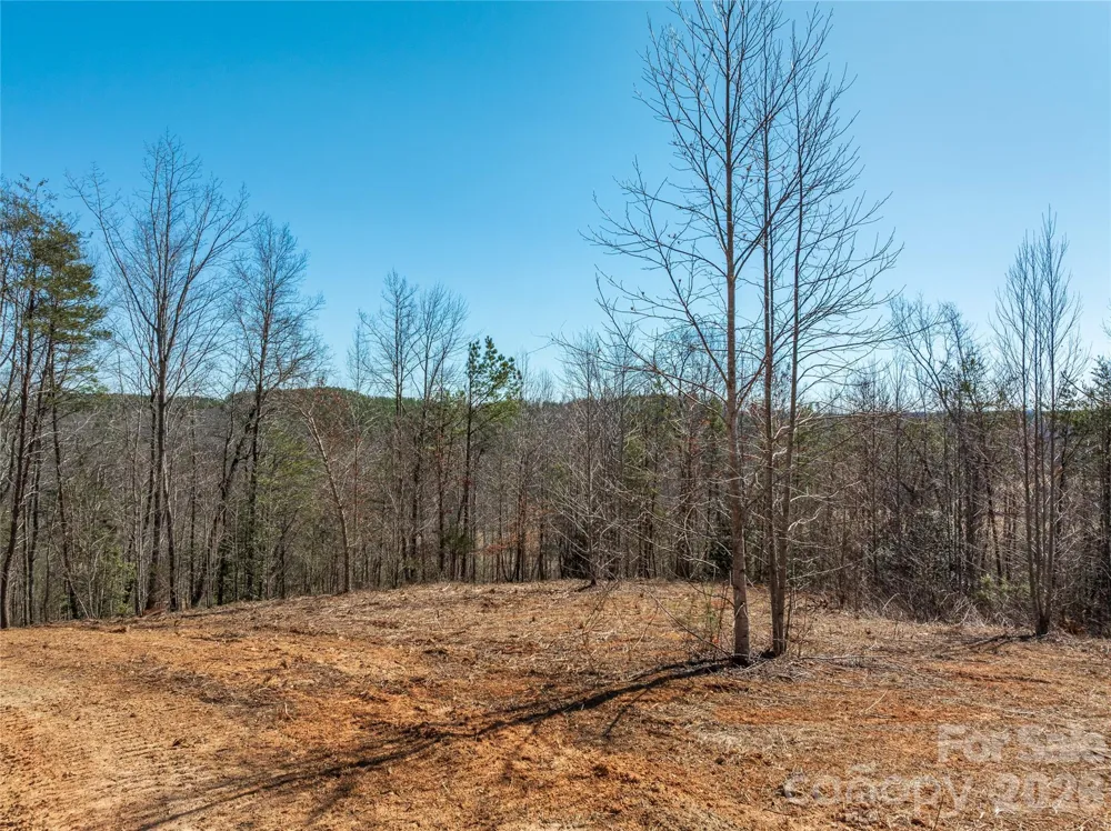 LOT #1 Price Summit Way Mill Spring, NC 28756