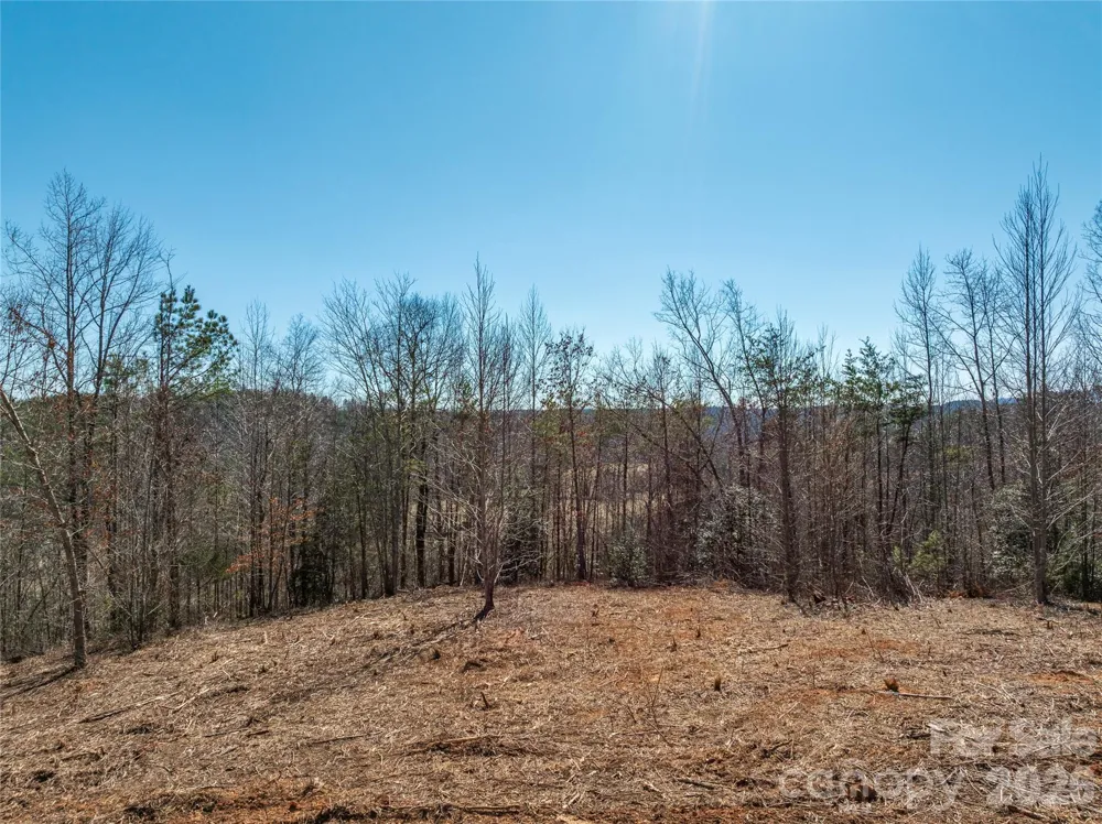 LOT #1 Price Summit Way Mill Spring, NC 28756