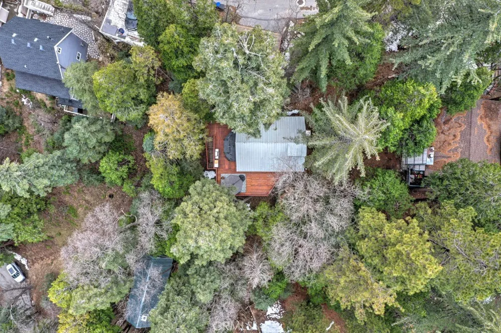 582 Rose Lane Twin Peaks, CA 92391