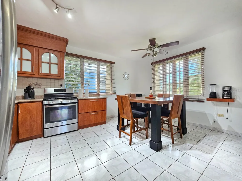 478 SAN ANTONIO Quebradillas, PR 00678