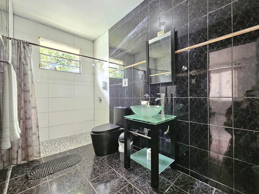 478 SAN ANTONIO Quebradillas, PR 00678
