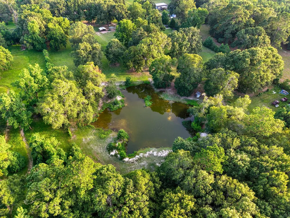 23344 Fm 1293 Thicket, TX 77374