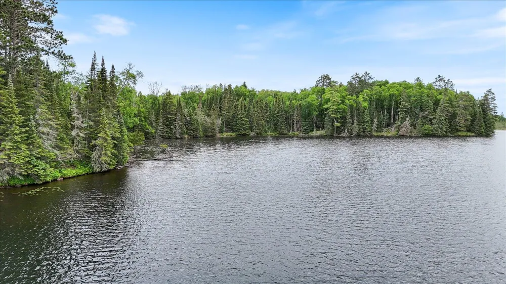 51946 Wasson Lake Rd Bigfork, MN 56628