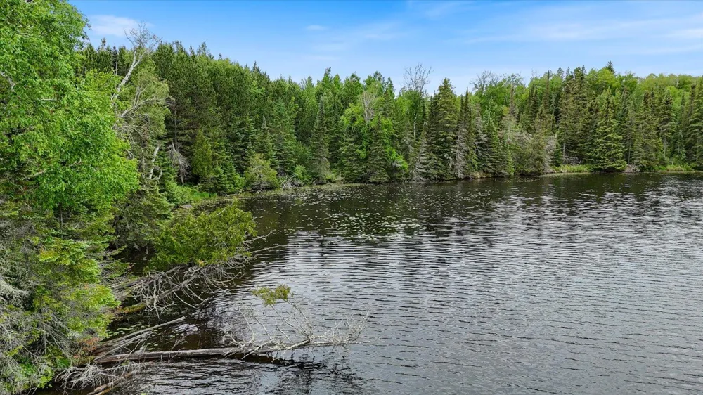 51946 Wasson Lake Rd Bigfork, MN 56628
