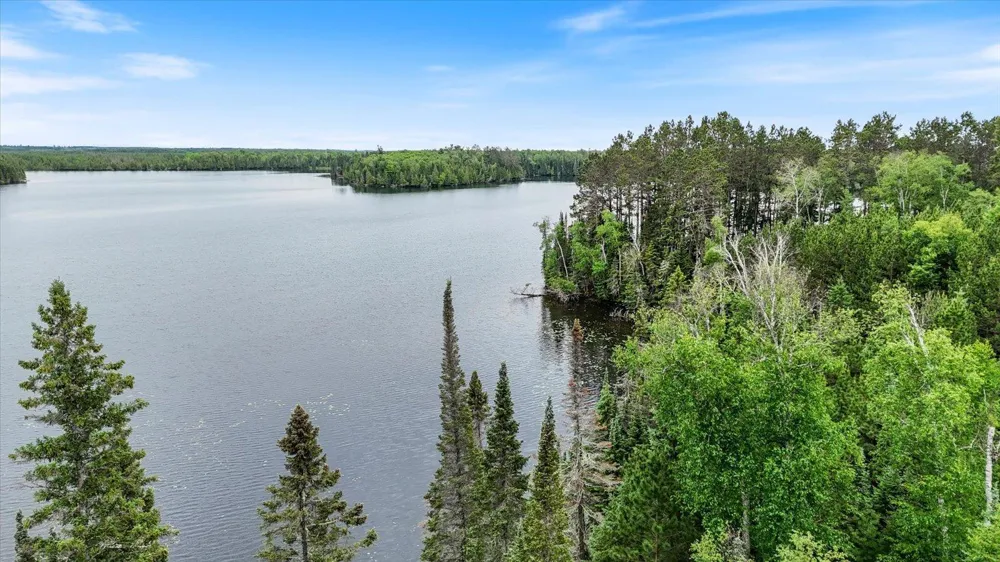 51946 Wasson Lake Rd Bigfork, MN 56628