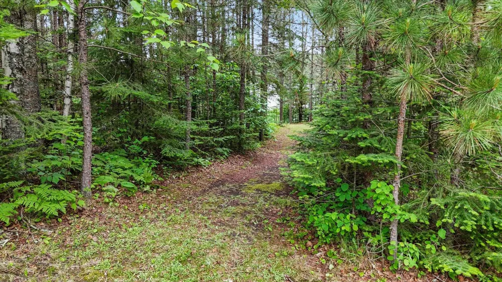 51946 Wasson Lake Rd Bigfork, MN 56628