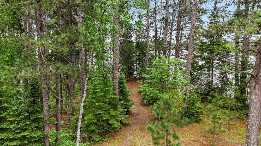 51946 Wasson Lake Rd Bigfork, MN 56628