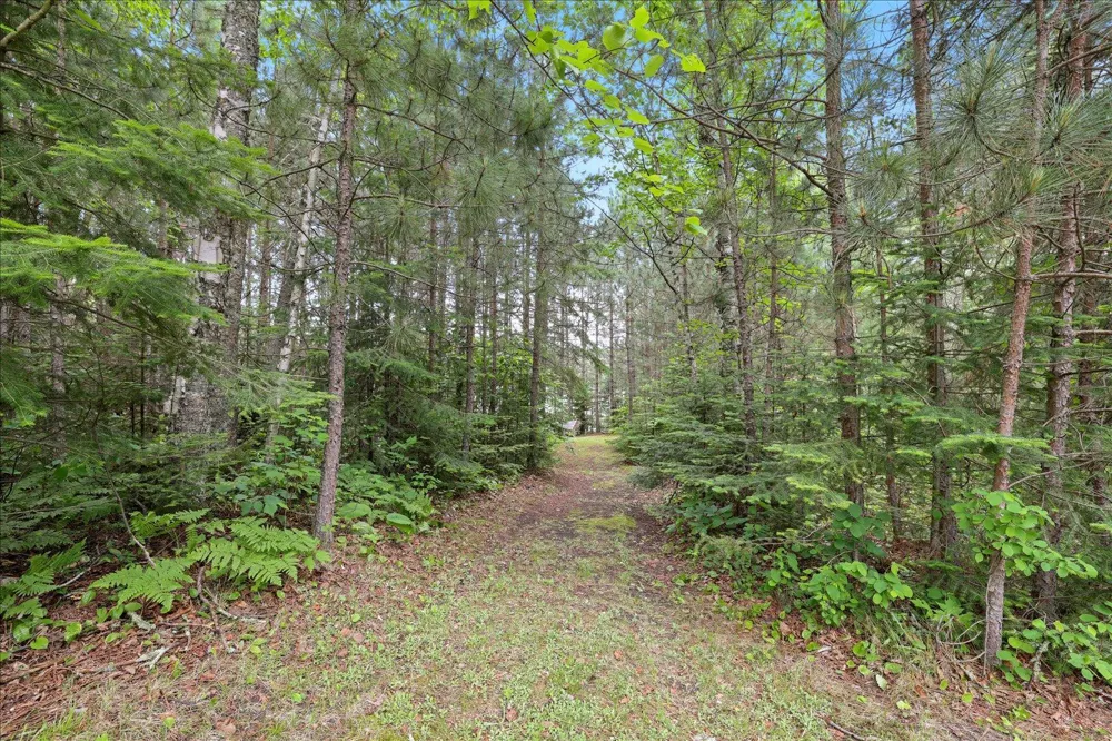 51946 Wasson Lake Rd Bigfork, MN 56628