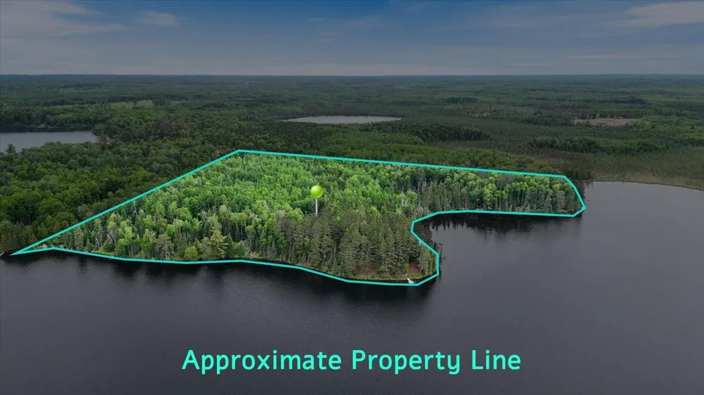 51946 Wasson Lake Rd Bigfork, MN 56628