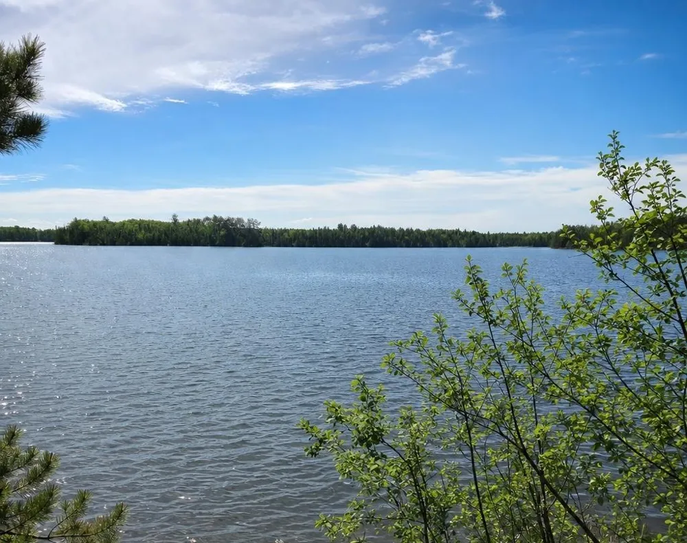 51946 Wasson Lake Rd Bigfork, MN 56628