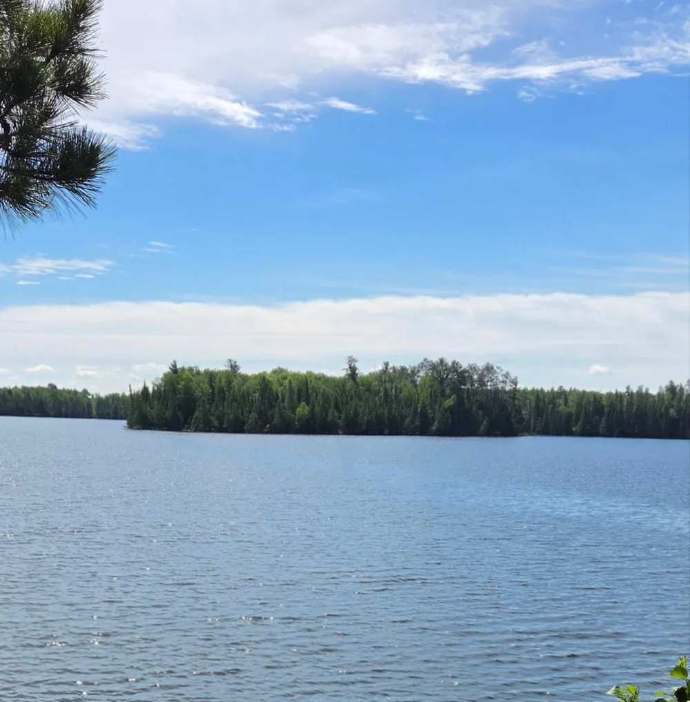 51946 Wasson Lake Rd Bigfork, MN 56628