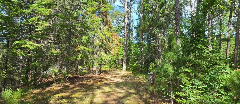 51946 Wasson Lake Rd Bigfork, MN 56628