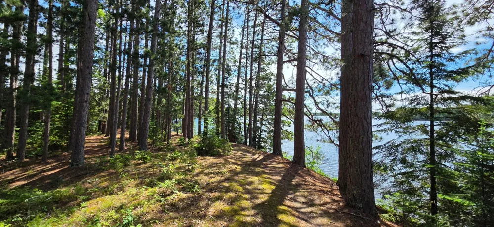51946 Wasson Lake Rd Bigfork, MN 56628