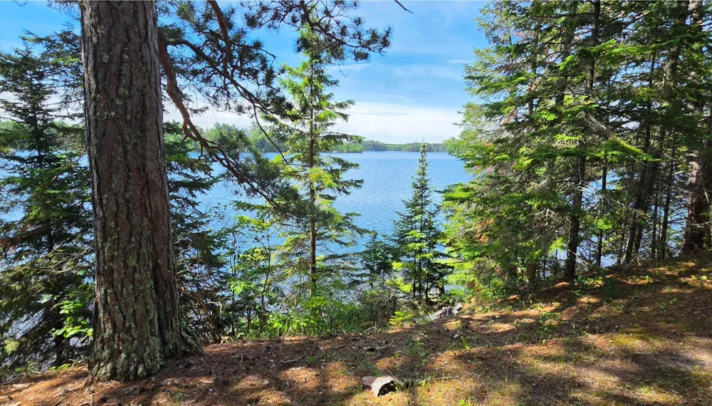 51946 Wasson Lake Rd Bigfork, MN 56628