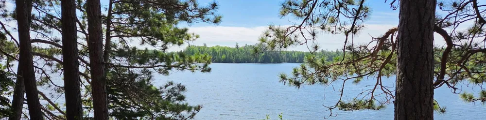 51946 Wasson Lake Rd Bigfork, MN 56628