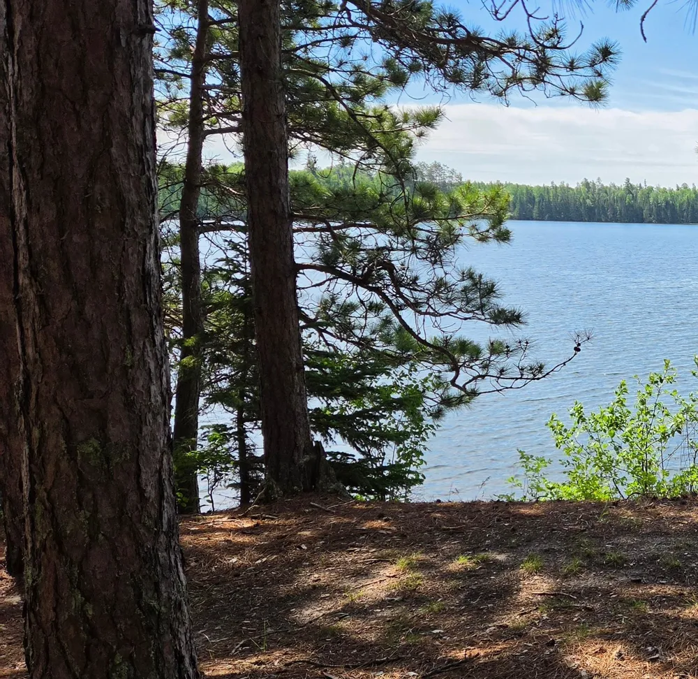 51946 Wasson Lake Rd Bigfork, MN 56628