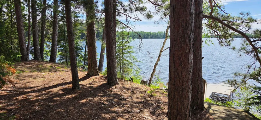 51946 Wasson Lake Rd Bigfork, MN 56628