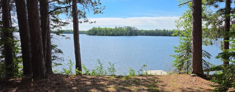 51946 Wasson Lake Rd Bigfork, MN 56628