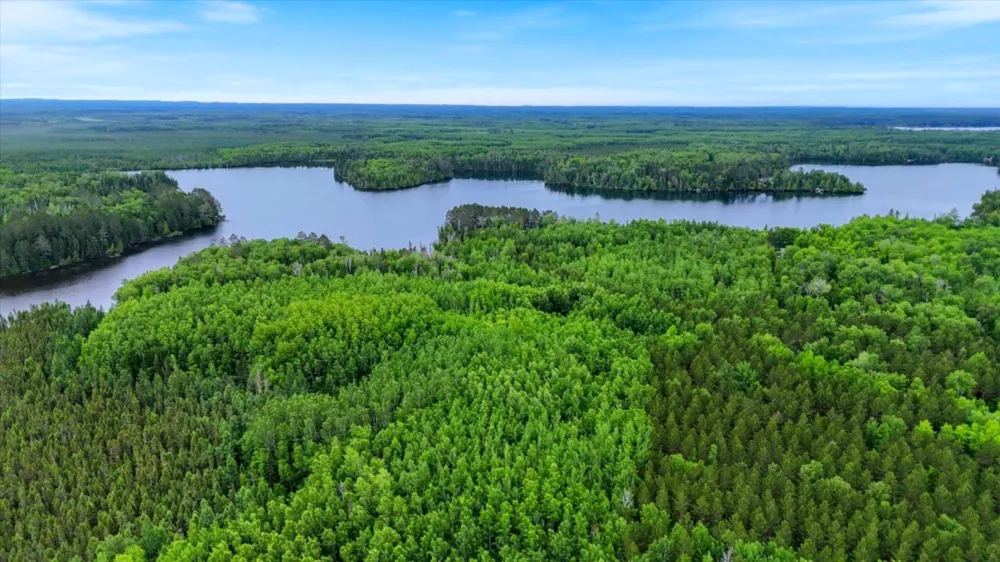 51946 Wasson Lake Rd Bigfork, MN 56628