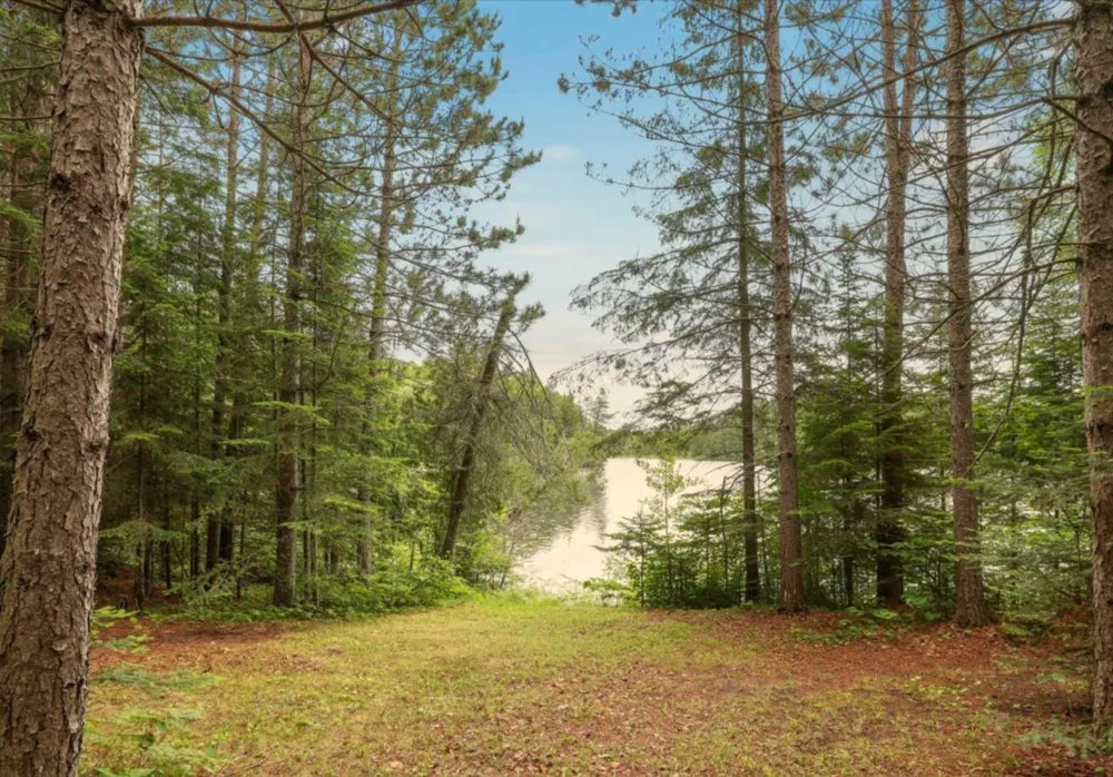 51946 Wasson Lake Rd Bigfork, MN 56628