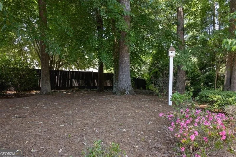 2975 Towne Village DR Duluth, GA 30097