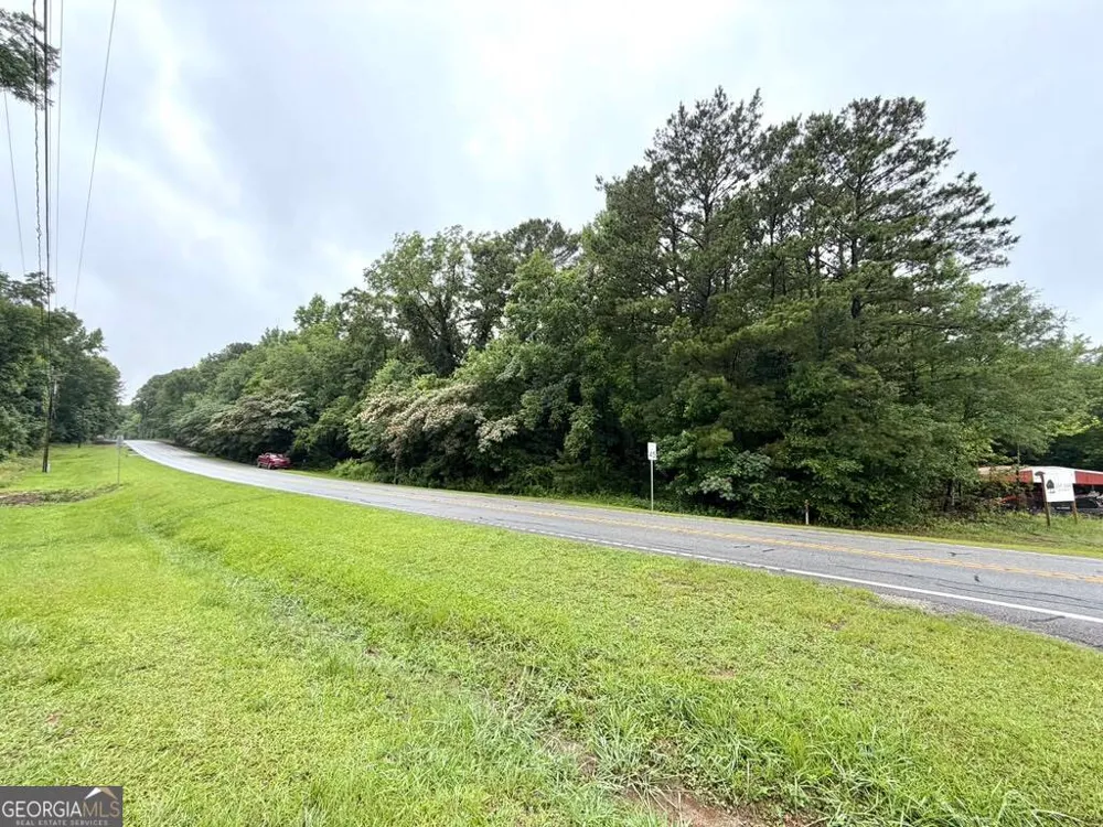 0 Ga Highway 85 Waverly Hall, GA 31831