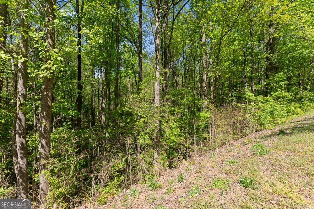 4346 Woods Bridge RD Commerce, GA 30529