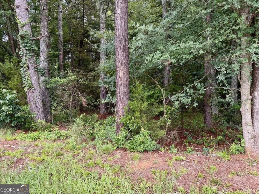 0 Maddox Hoschton, GA 30549