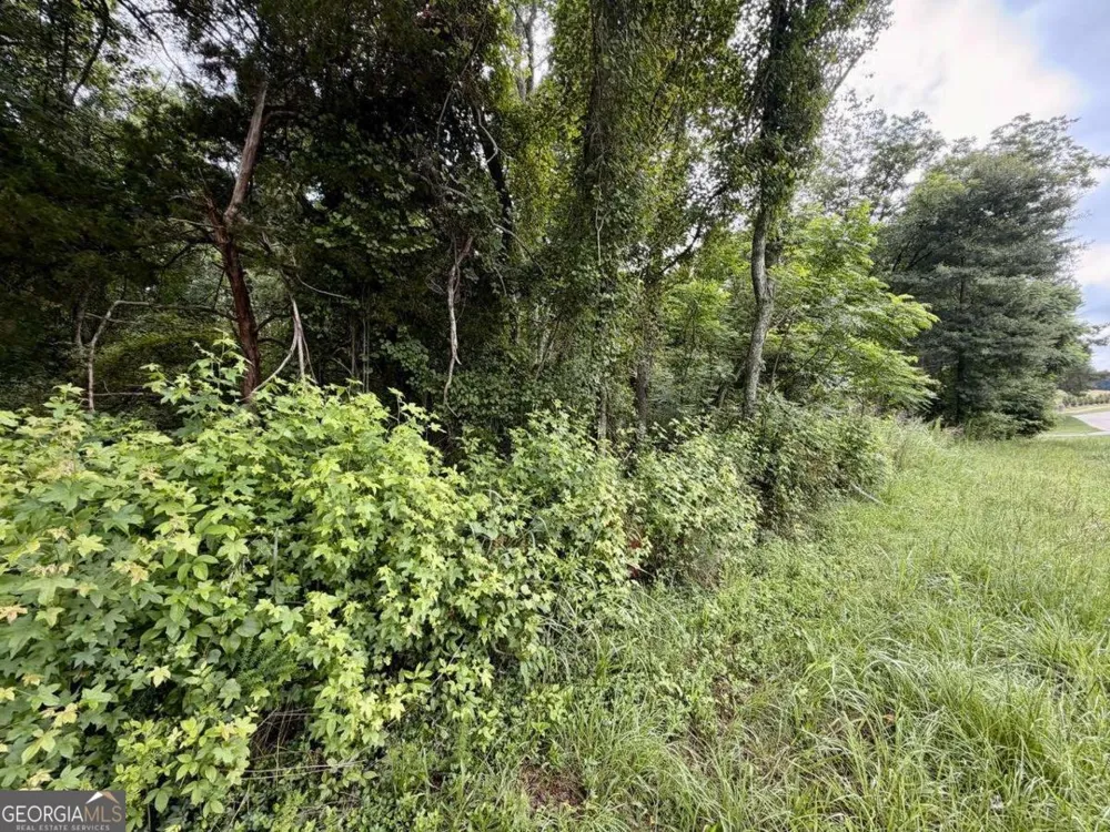 0 Maddox Hoschton, GA 30549